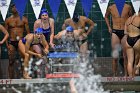 Swimming & Diving vs RWU  Swimming & Diving vs Roger Williams University. - Photo by Keith Nordstrom : Wheaton, Swimming